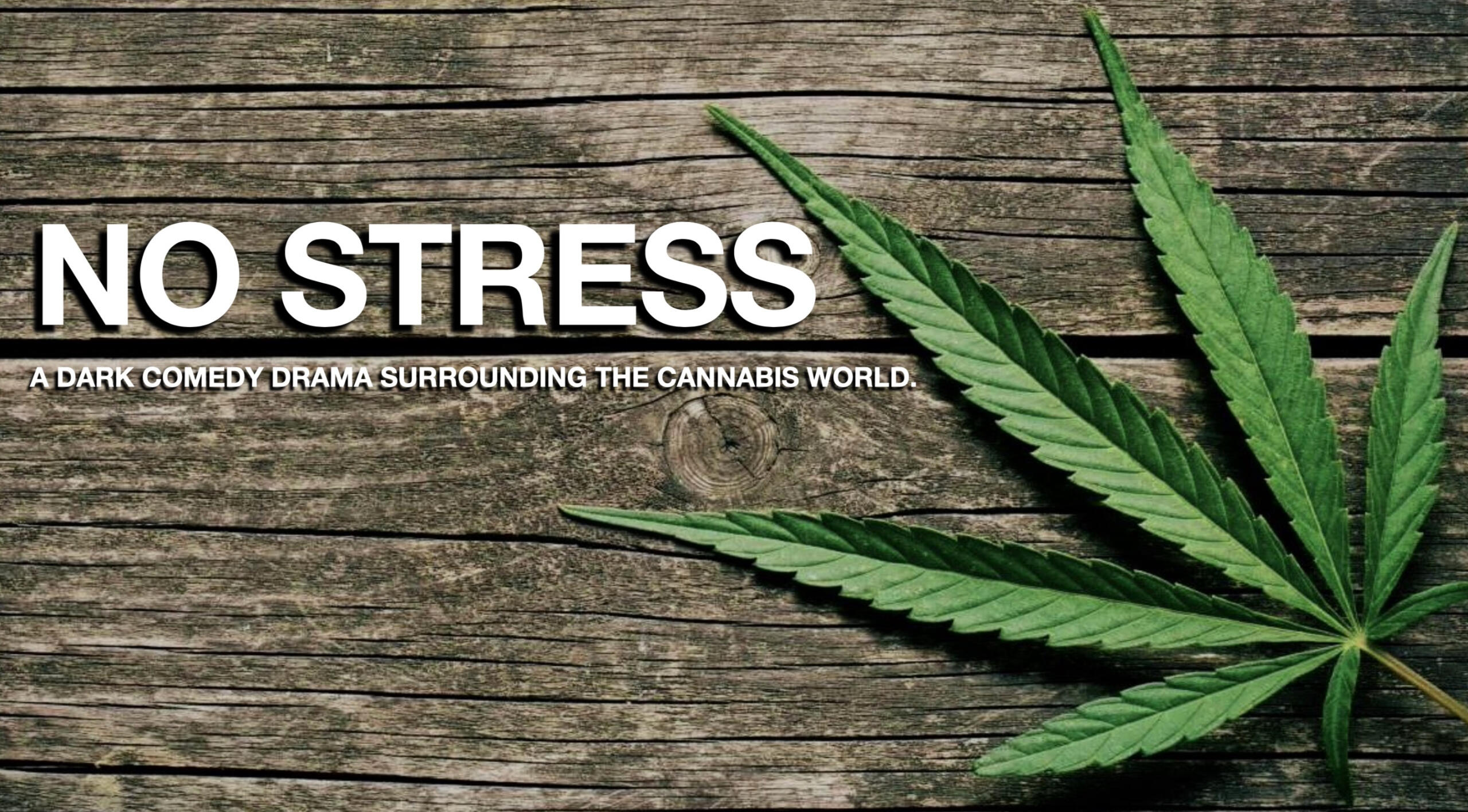 NO STRESS