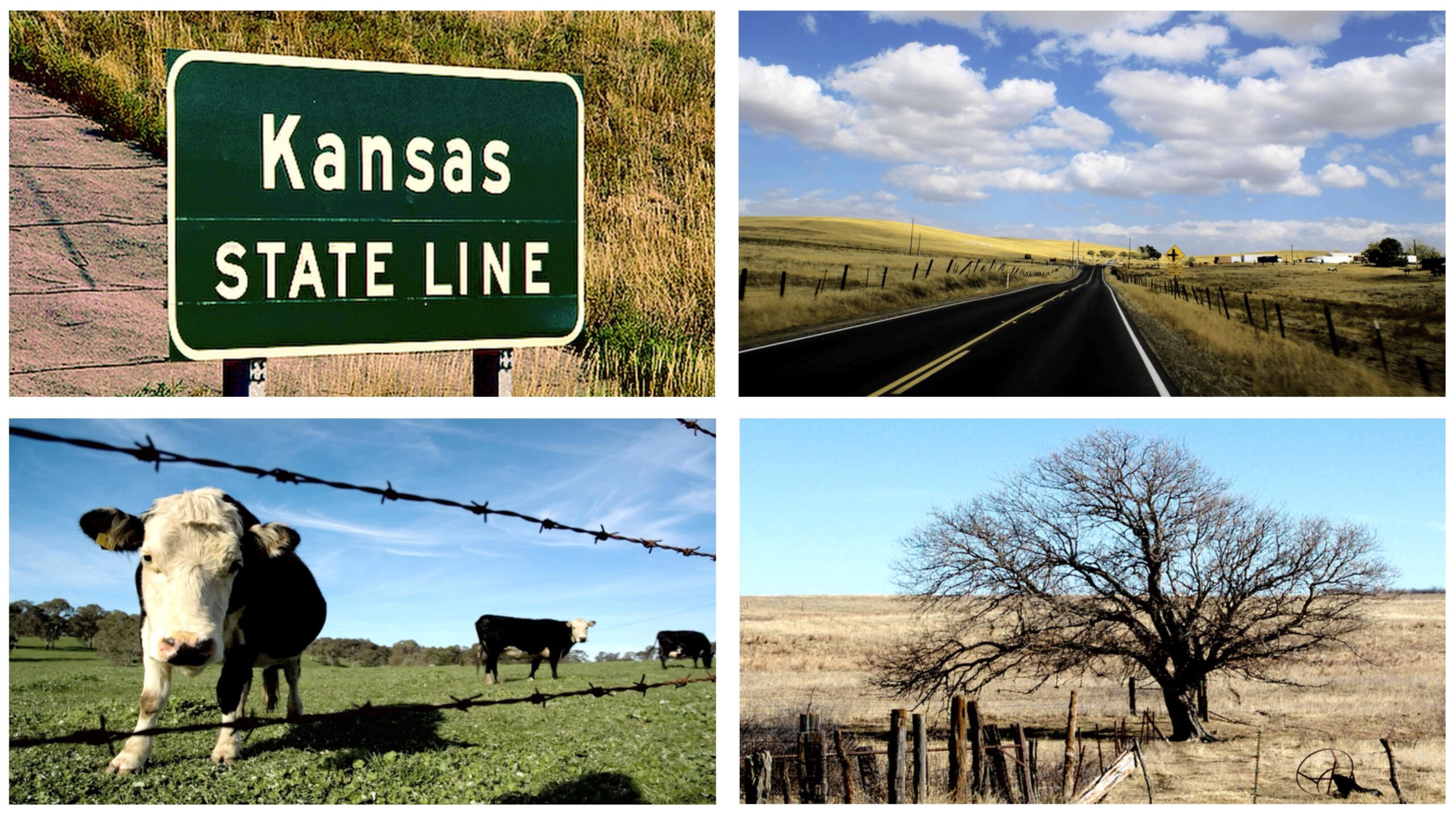 THE GODS HATE KANSAS