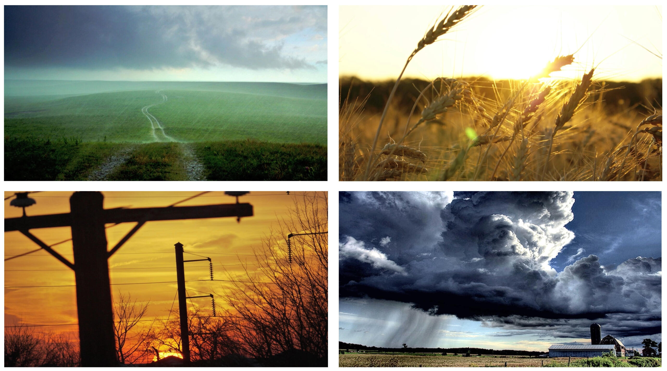 THE GODS HATE KANSAS